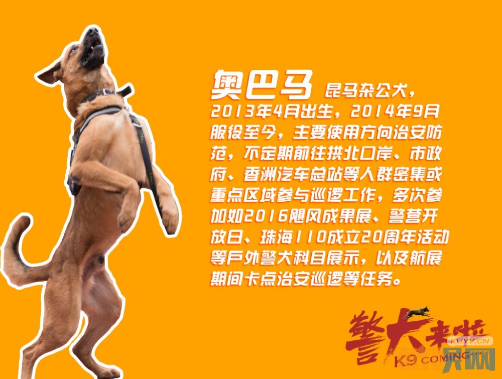 警犬来啦海报
