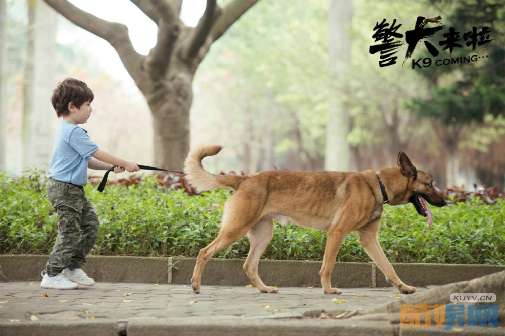 电视剧警犬来啦剧情分集介绍第19集