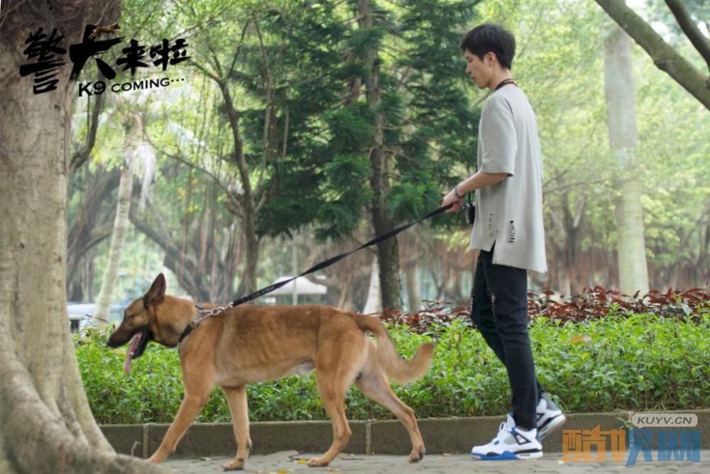 电视剧警犬来啦剧情分集介绍第20集