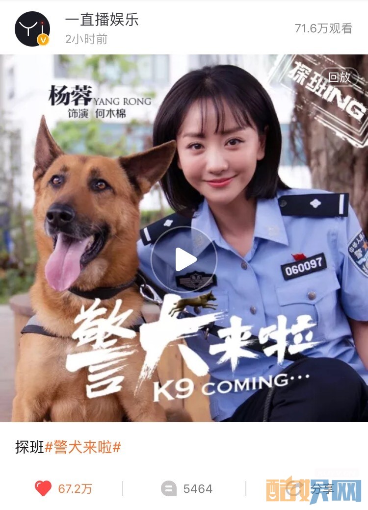 电视剧警犬来啦剧情分集介绍第21集