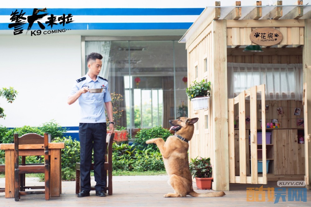 电视剧警犬来啦剧情分集介绍第44集