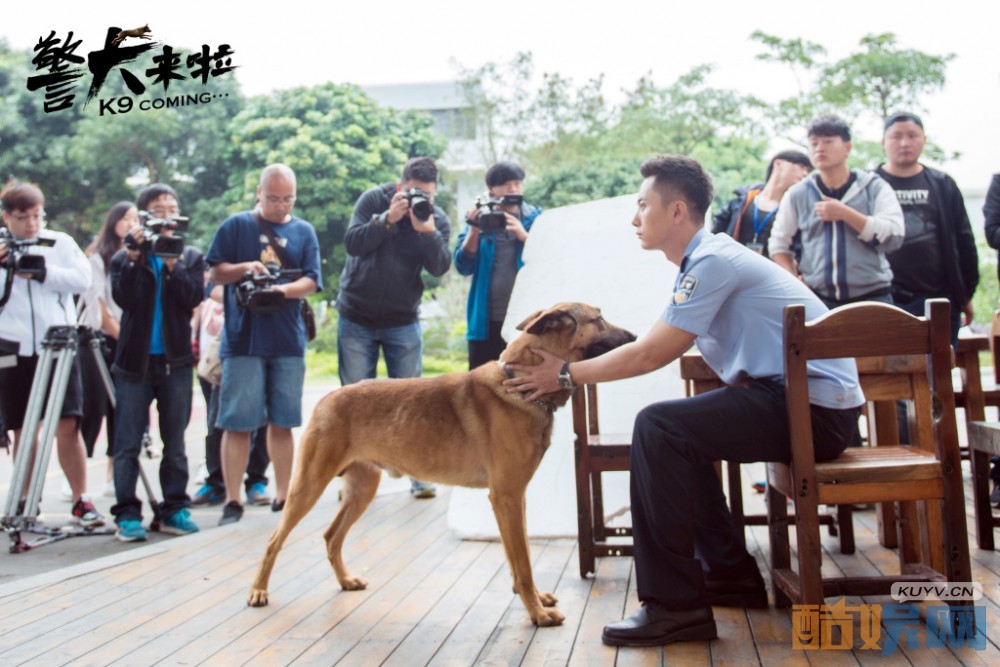警犬来啦片场照