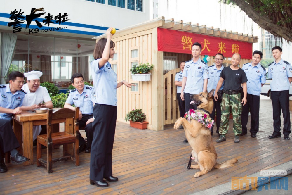 电视剧警犬来啦剧情分集介绍第27集
