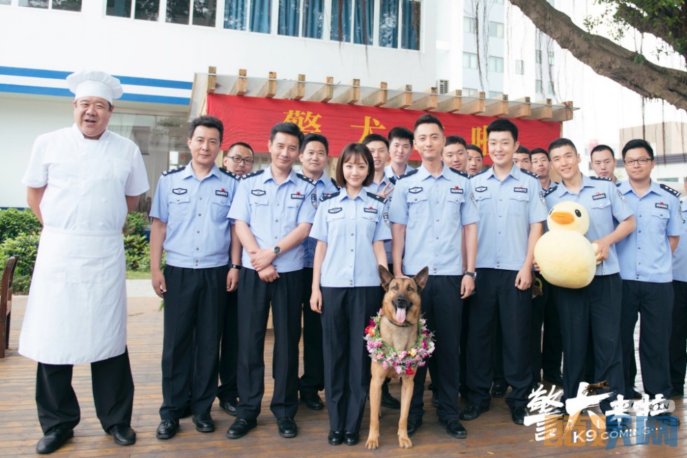 警犬来啦片场照