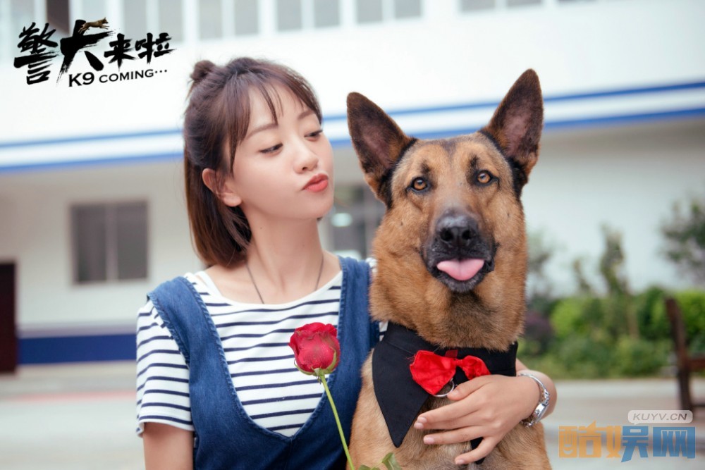 电视剧警犬来啦剧情分集介绍第30集