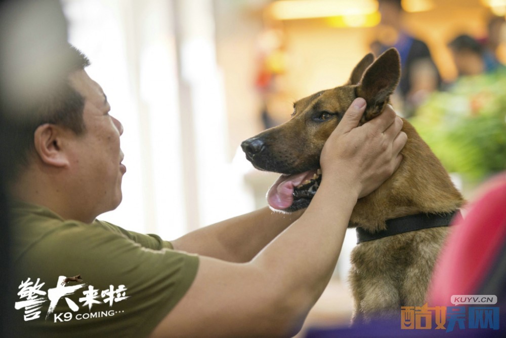 电视剧警犬来啦剧情分集介绍第32集