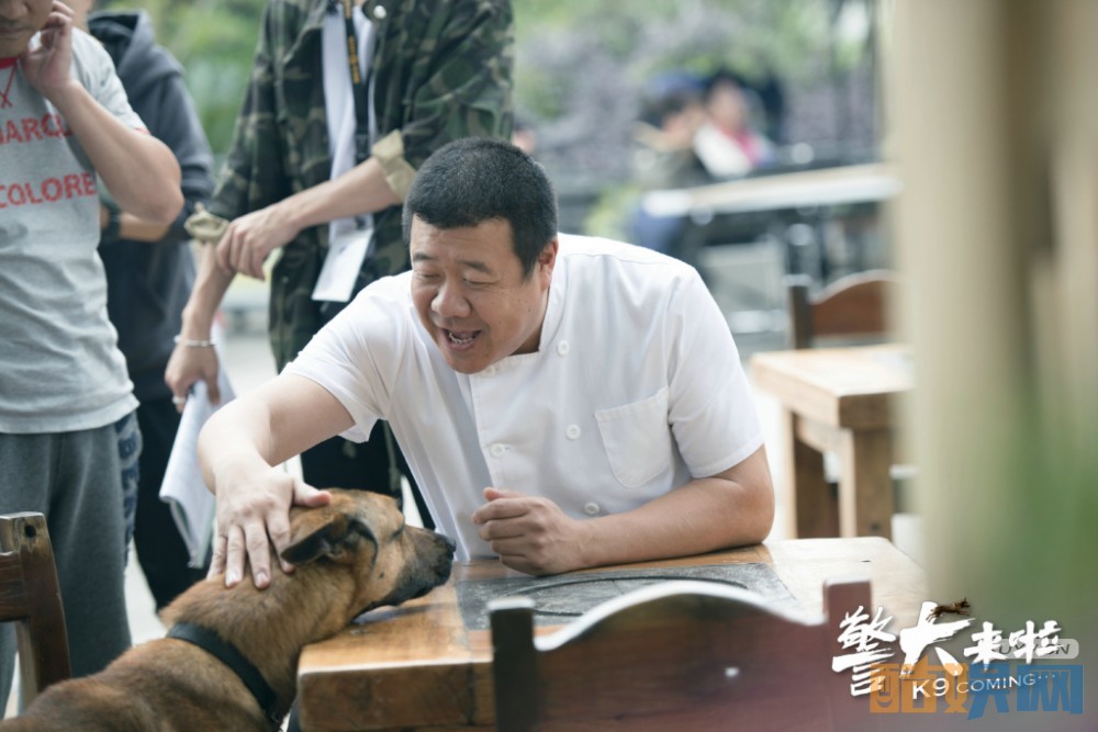 电视剧警犬来啦剧情分集介绍第33集