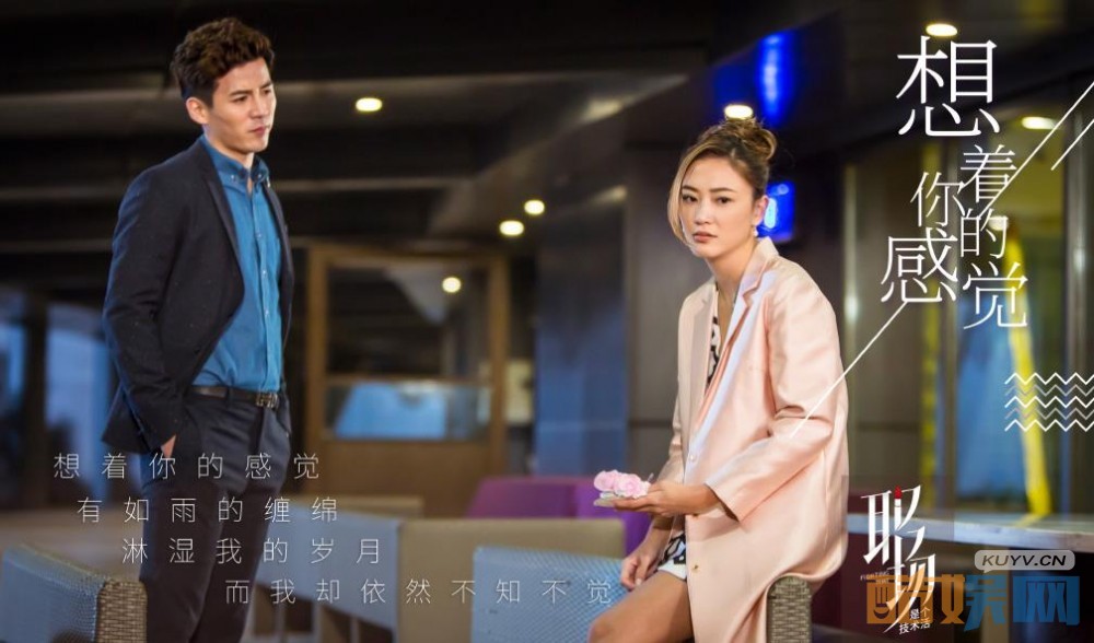 电视剧职场是个技术活剧情分集介绍第11集
