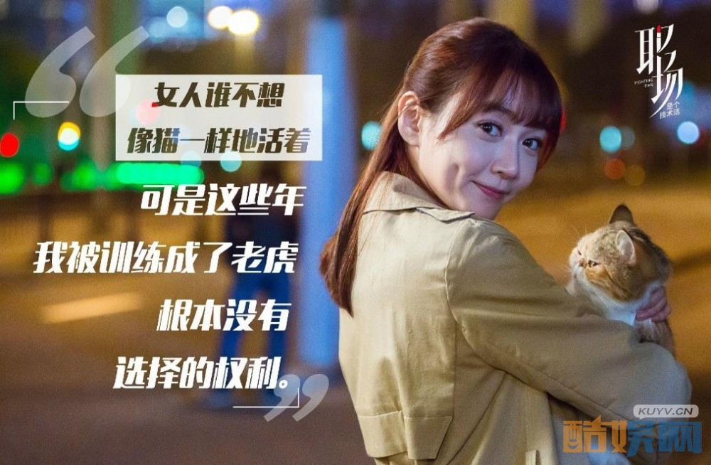 电视剧职场是个技术活剧情分集介绍第24集