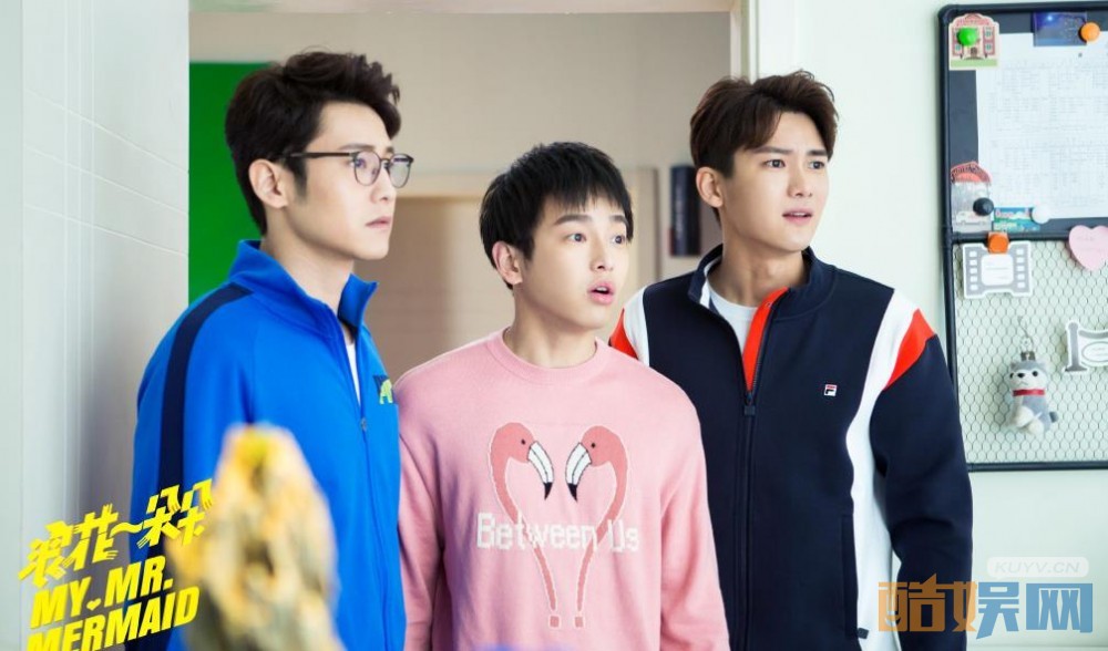 电视剧浪花一朵朵剧情分集介绍第28集