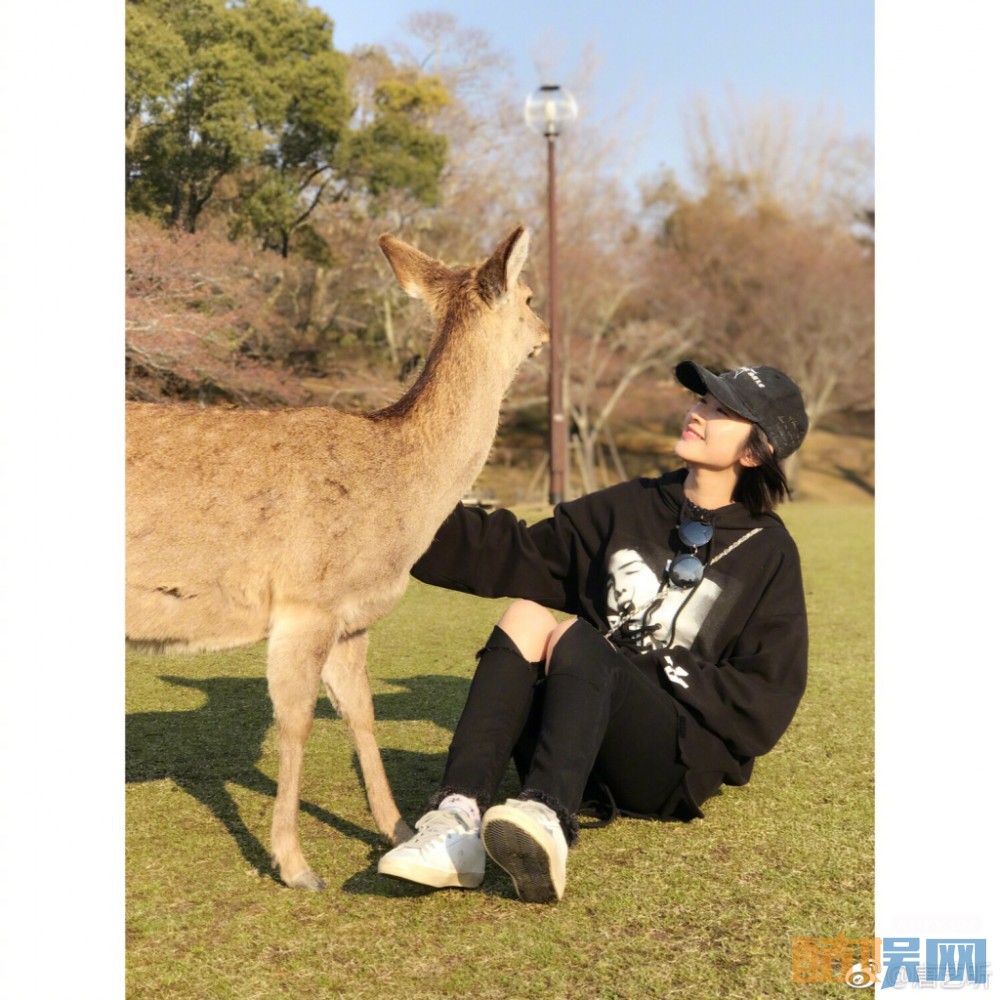 军师联盟曹丕的皇后郭照是谁演的 军师联盟曹丕的皇后郭照扮演者唐艺昕个人资料、写真、生活照欣赏