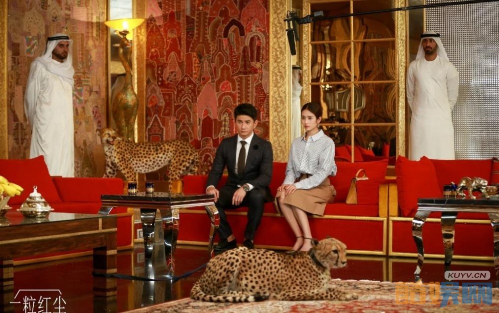 电视剧一粒红尘剧情分集介绍第2集