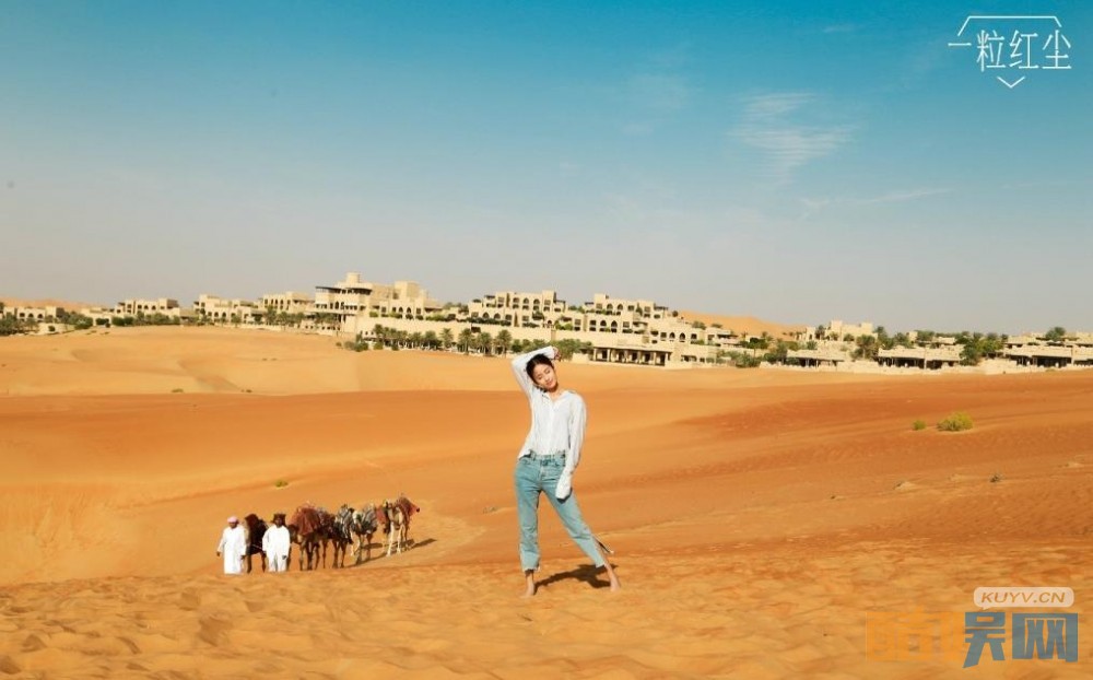 电视剧一粒红尘剧情分集介绍第3集