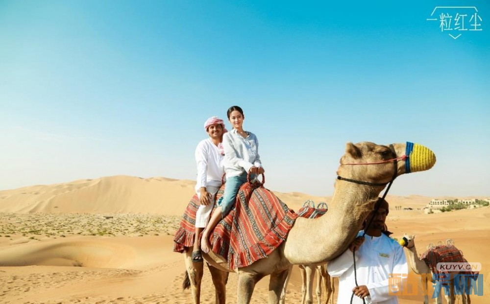 电视剧一粒红尘剧情分集介绍第5集