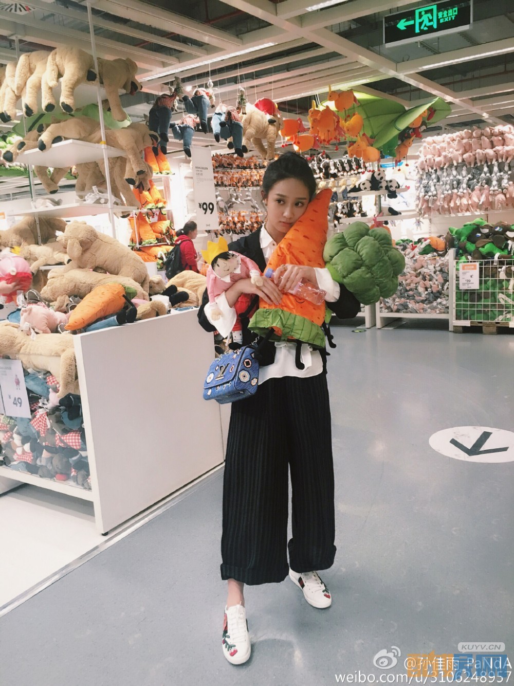 何所冬暖何所夏凉莫家珍是谁扮演的 何所冬暖何所夏凉莫家珍扮演者孙佳雨个人资料、写真、生活照欣赏