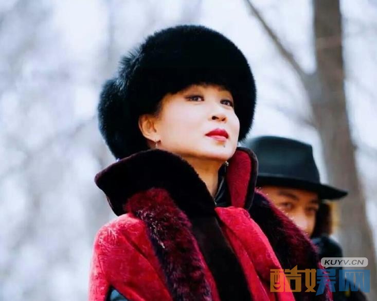 电视剧林海雪原剧情分集介绍第35集