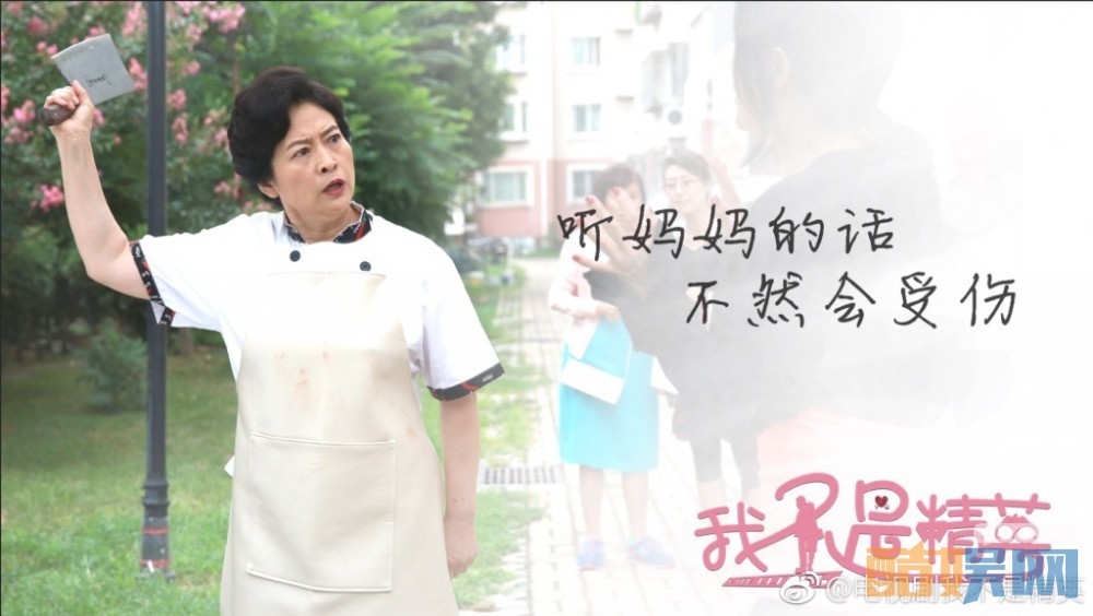 电视剧我不是精英剧情分集介绍第35集