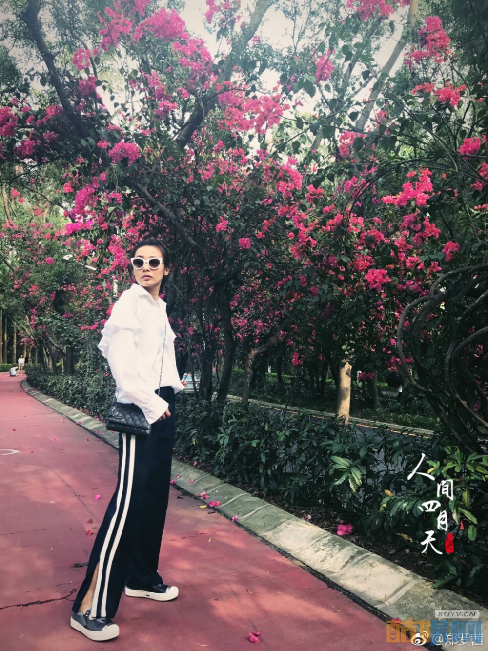 电视剧我的前半生薇薇安是谁演的？我的前半生薇薇安扮演者郑罗茜个人资料、写真、生活照欣赏