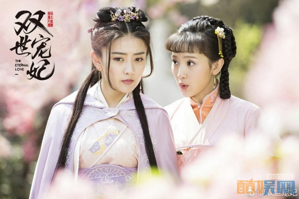 电视剧双世宠妃剧情分集介绍第24集