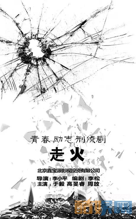 走火剧情介绍
