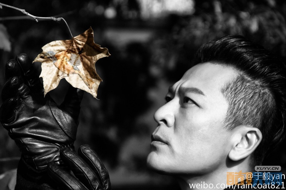 于毅个人资料于毅情感经历