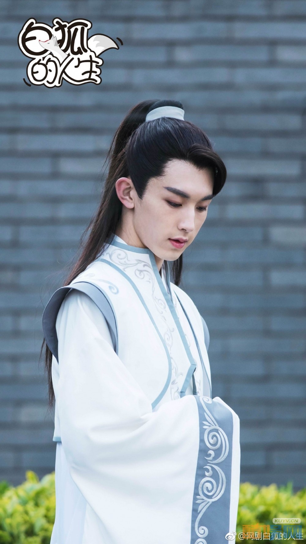 白狐的人生剧情介绍