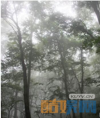  清泉河的迷雾剧情介绍