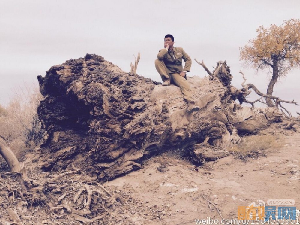电视剧花儿与远方剧情分集介绍第3集