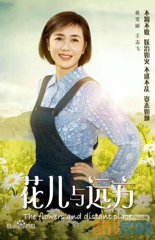 花儿与远方海报