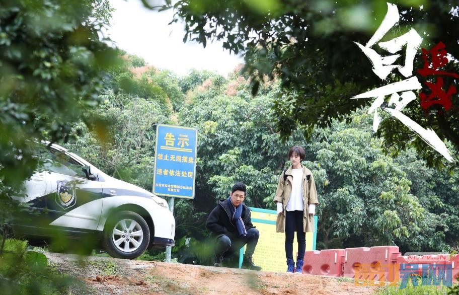 电视剧白夜追凶剧情分集介绍第28集