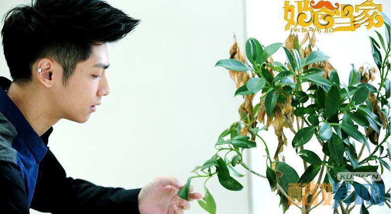 电视剧奶爸当家剧情分集介绍第36集