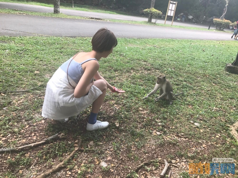 那年花开月正圆中春杏是谁演的？那年花开月正圆中春杏扮演者许芳铱个人资料、写真、生活照欣赏