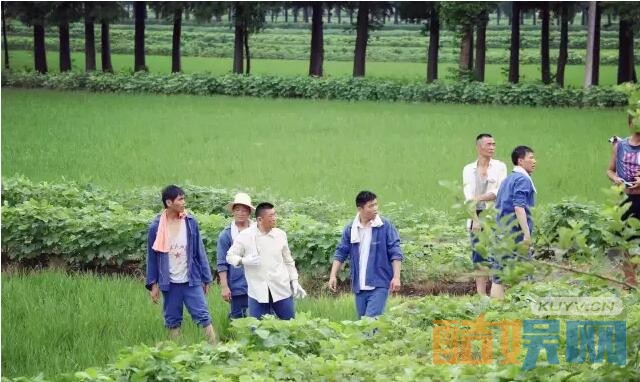 电视剧外滩的钟声剧情分集介绍第18集