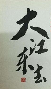 大江东去剧情介绍