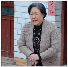 电视剧苦乐村官剧情分集介绍第13集