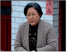电视剧苦乐村官剧情分集介绍第14集