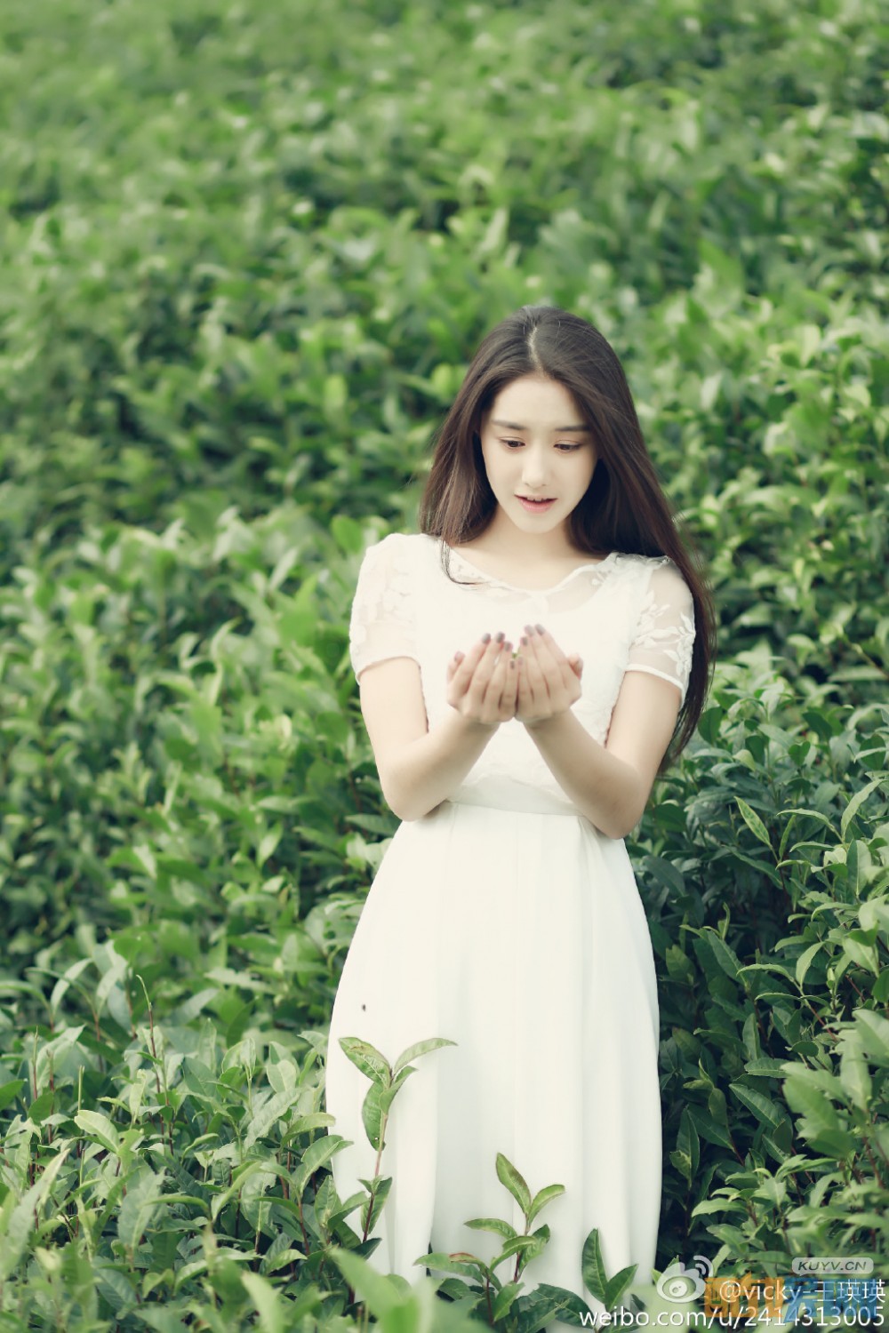 王瑛瑛清纯写真