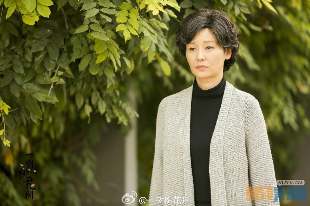 电视剧一树桃花开剧情分集介绍第4集