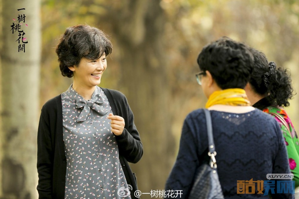 电视剧一树桃花开剧情分集介绍第5集
