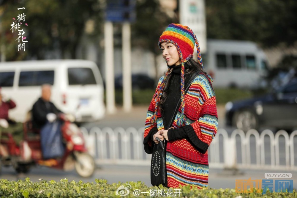 电视剧一树桃花开剧情分集介绍第15集