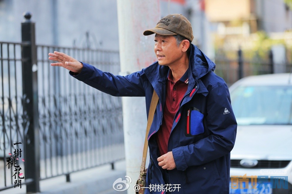 电视剧一树桃花开剧情分集介绍第23集
