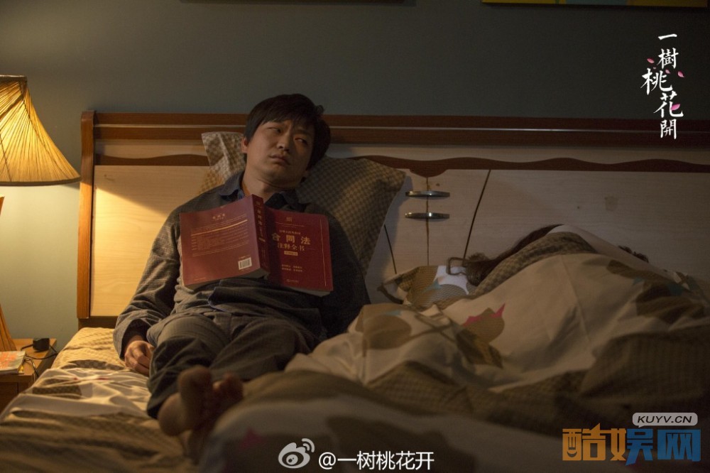 电视剧一树桃花开剧情分集介绍第29集
