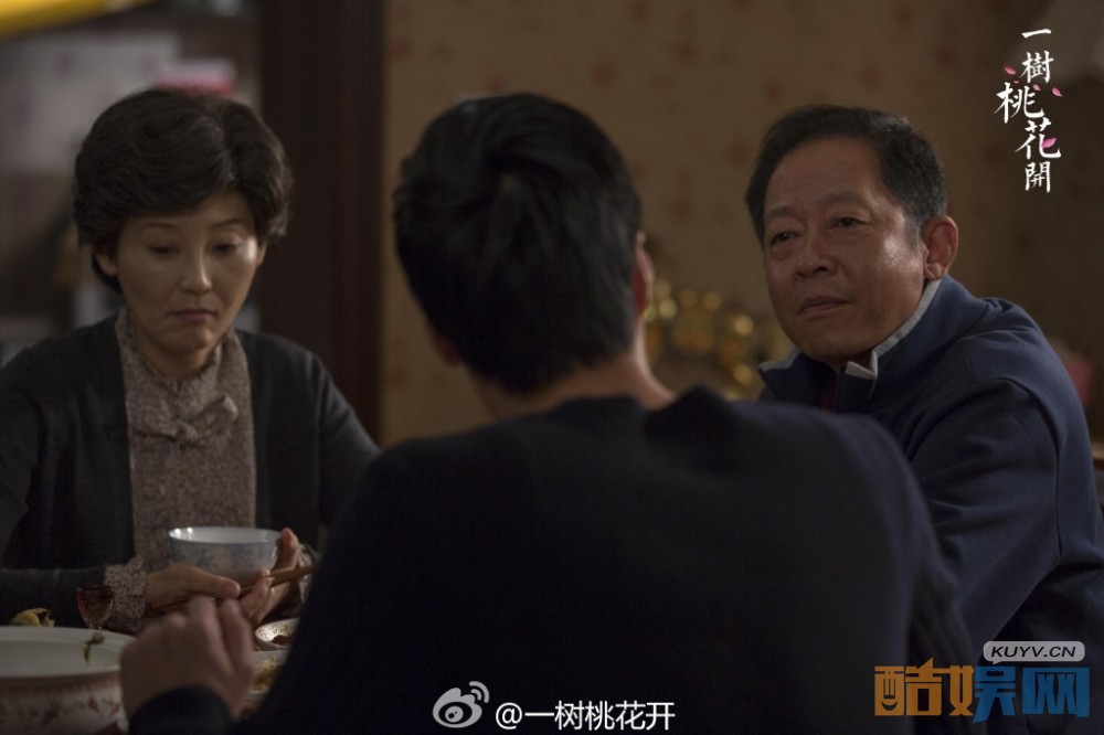 电视剧一树桃花开剧情分集介绍第30集