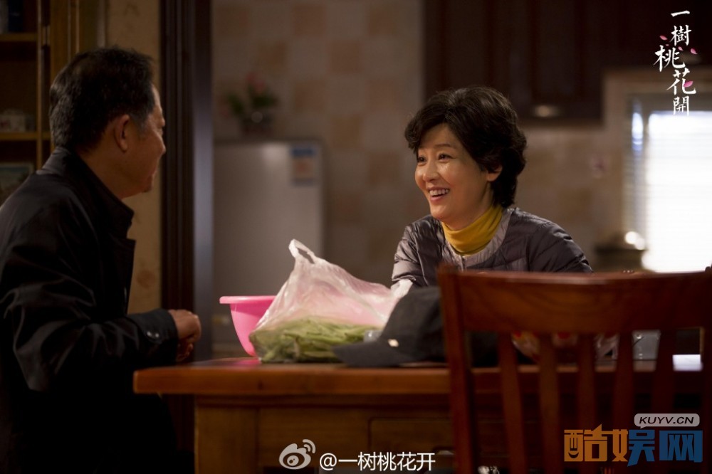 电视剧一树桃花开剧情分集介绍第33集