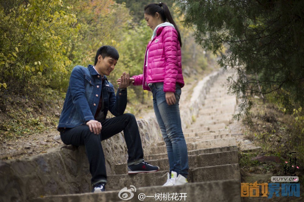 电视剧一树桃花开剧情分集介绍第37集
