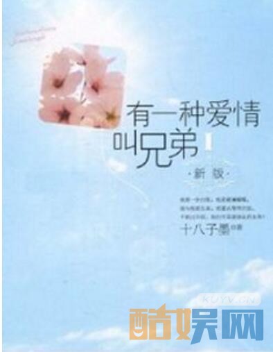 有一种爱情叫兄弟剧情介绍