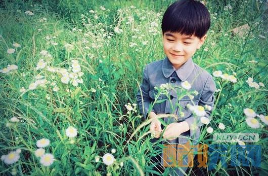 电视剧红蔷薇剧情分集介绍第9集