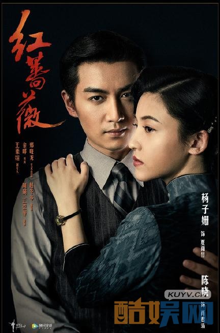 红蔷薇海报