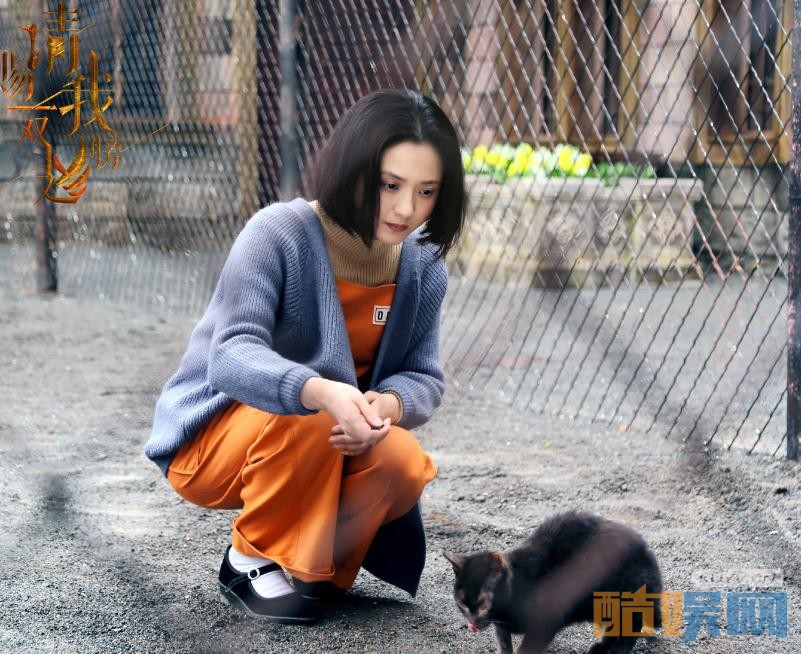 电视剧请赐我一双翅膀剧情分集介绍第27集