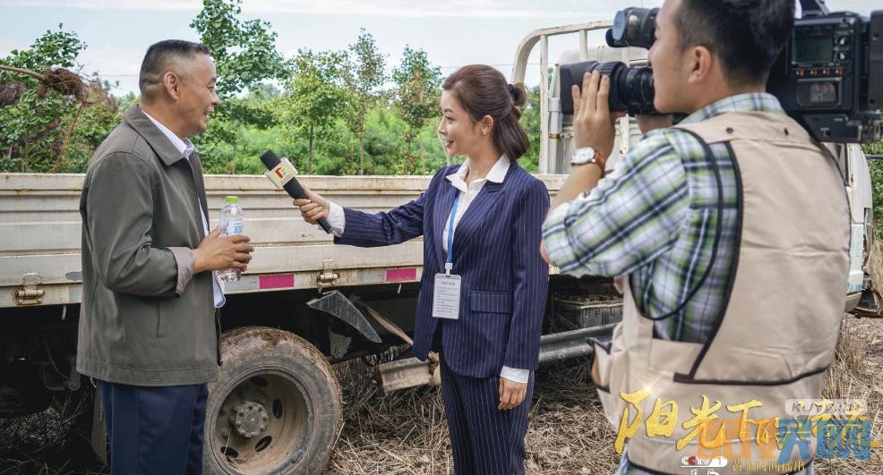 电视剧阳光下的法庭剧情分集介绍第20集